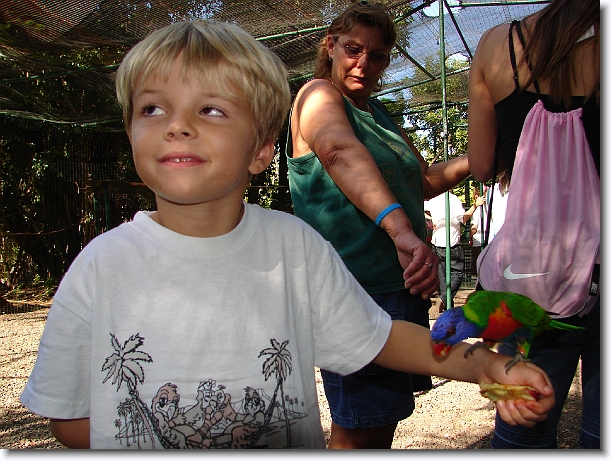 Click for the original image